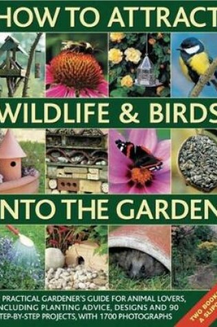 Cover of How to Attract Wildlife & Birds into the Garden