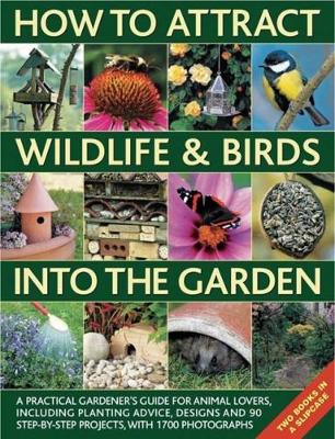 Book cover for How to Attract Wildlife & Birds into the Garden