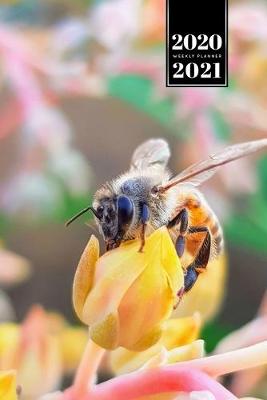 Book cover for Bee Insects Beekeeping Beekeeper Week Planner Weekly Organizer Calendar 2020 / 2021 - Succulent Flower at Sundown