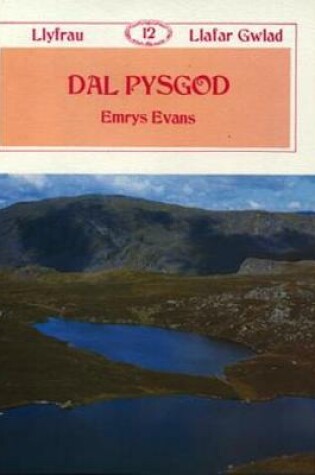 Cover of Llyfrau Llafar Gwlad:12. Dal Pysgod