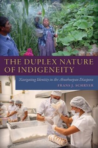 Cover of The Duplex Nature of Indigeneity