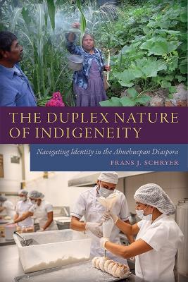 Cover of The Duplex Nature of Indigeneity