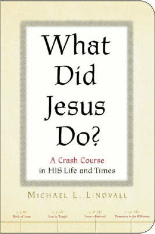 Cover of What Did Jesus Do?