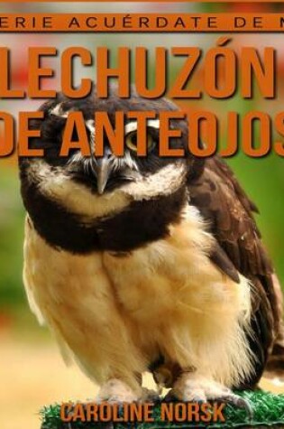 Cover of Lechuzon de anteojos