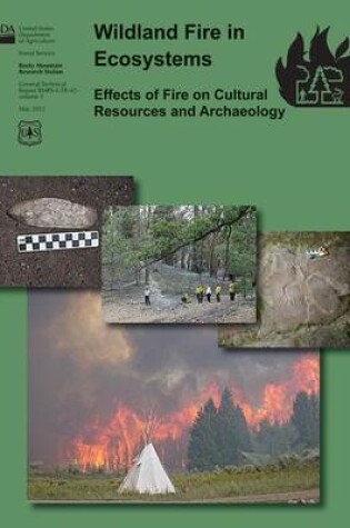 Cover of Wildand Fire in Ecosystems