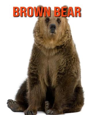 Book cover for Brown Bear