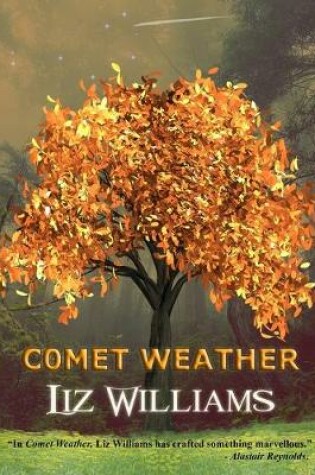 Cover of Comet Weather