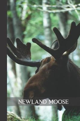 Book cover for Newland Moose