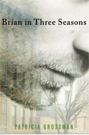 Cover of Brian in Three Seasons