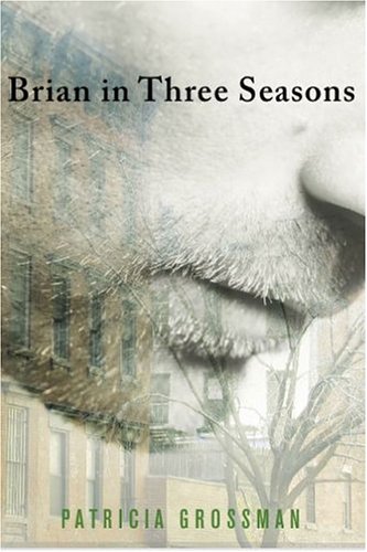Book cover for Brian in Three Seasons