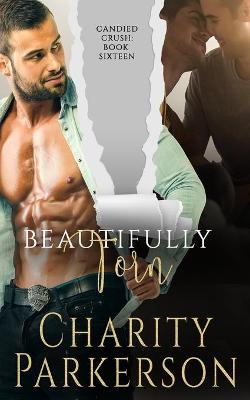 Book cover for Beautifully Torn