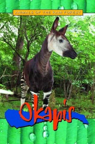 Cover of Okapis