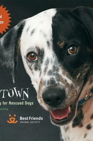 Cover of Dogtown