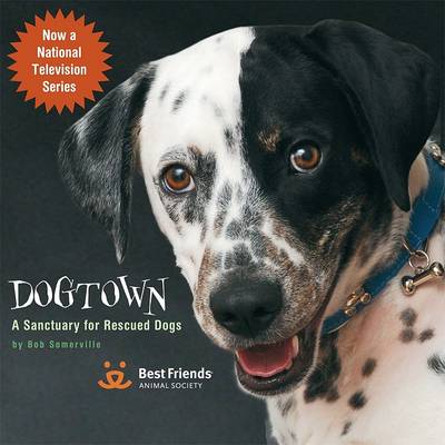 Cover of Dogtown