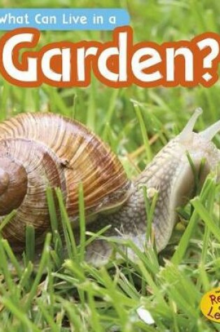 Cover of What Can Live in the Garden?