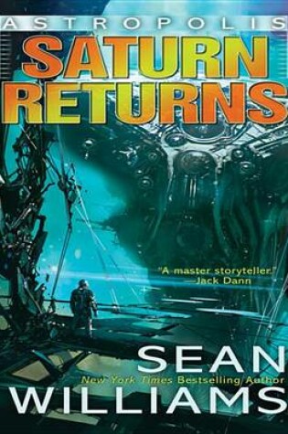 Cover of Saturn Returns