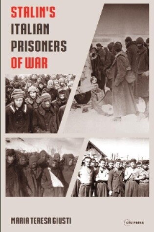 Cover of Stalin's Italian Prisoners of War