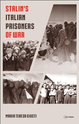 Book cover for Stalin's Italian Prisoners of War