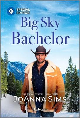 Book cover for Big Sky Bachelor