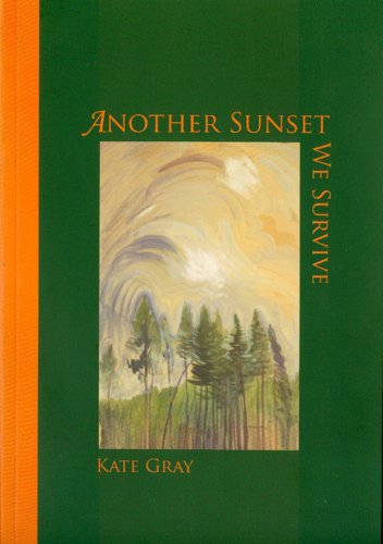 Book cover for Another Sunset We Survive