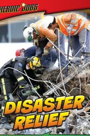 Cover of Disaster Relief