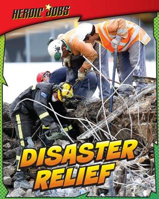 Book cover for Disaster Relief