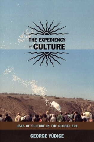 Cover of The Expediency of Culture