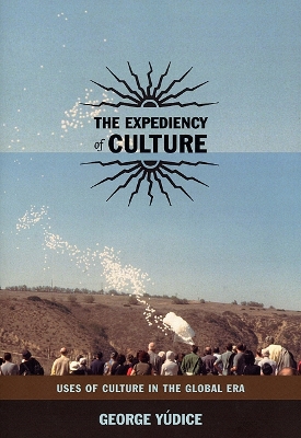 Cover of The Expediency of Culture