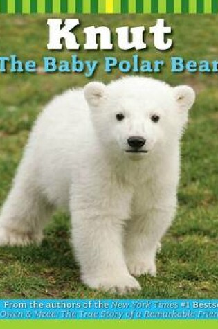 Cover of Knut the Baby Polar Bear