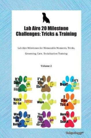 Cover of Lab Aire 20 Milestone Challenges