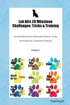 Book cover for Lab Aire 20 Milestone Challenges