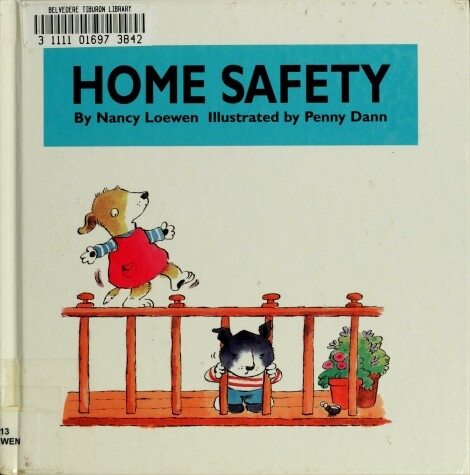 Book cover for Home Safety