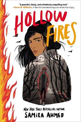 Book cover for Hollow Fires