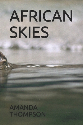 Book cover for African Skies