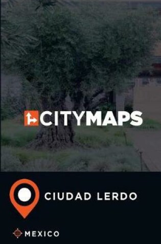 Cover of City Maps Ciudad Lerdo Mexico