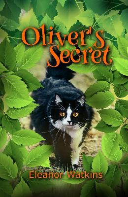 Book cover for Oliver's Secret