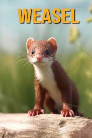 Cover of Weasel