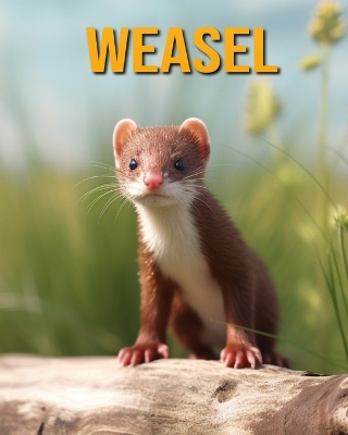 Book cover for Weasel