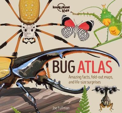 Book cover for Lonely Planet Kids Bug Atlas