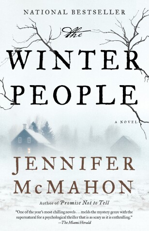Book cover for The Winter People
