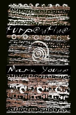 Book cover for turpentine