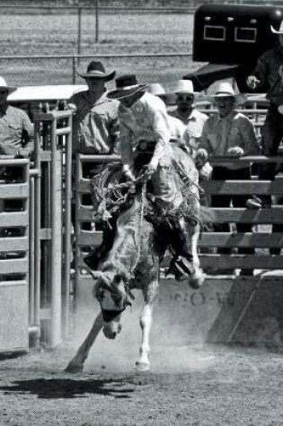Cover of Saddle Broncs