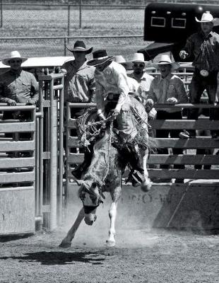 Book cover for Saddle Broncs