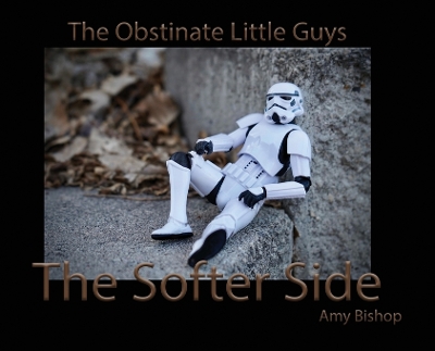 Book cover for The Softer Side