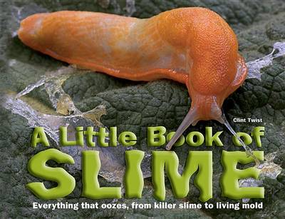 Book cover for A Little Book of Slime