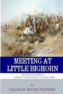 Book cover for Meeting at Little Bighorn