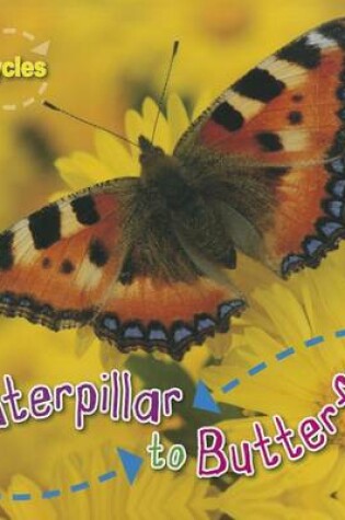 Cover of Caterpillar to Butterfly