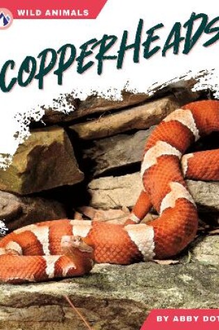 Cover of Copperheads