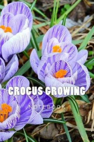 Cover of Crocus Growing