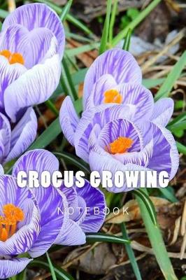 Book cover for Crocus Growing